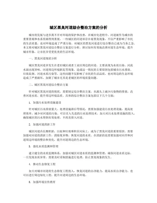 城区黑臭河道综合整治方案的分析