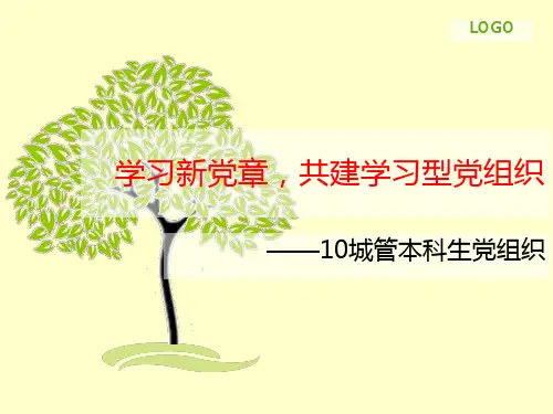 《优秀党日活动》PPT课件