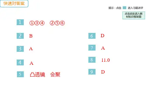 第五章 第1节 透镜—人教版八年级物理上册作业课件PPT