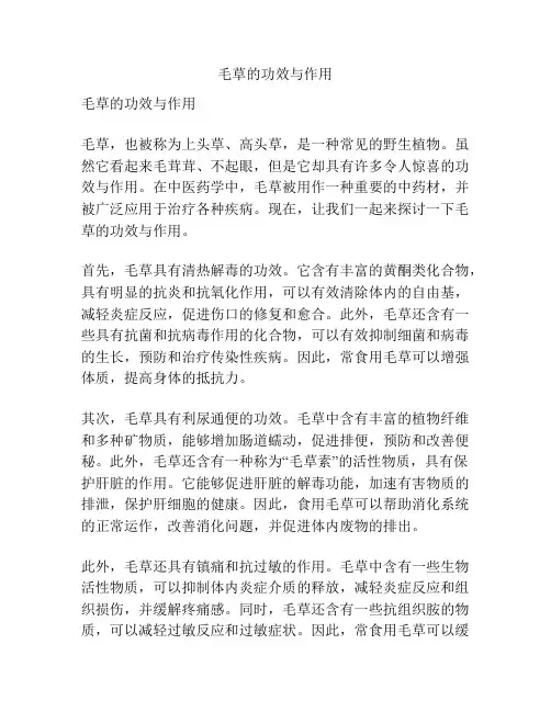 毛草的功效与作用