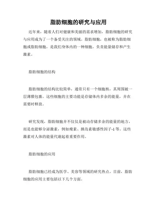 脂肪细胞的研究与应用