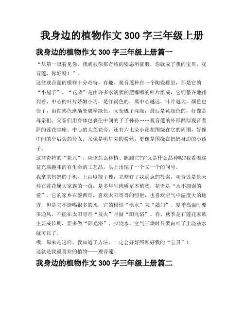 我身边的植物作文300字三年级上册