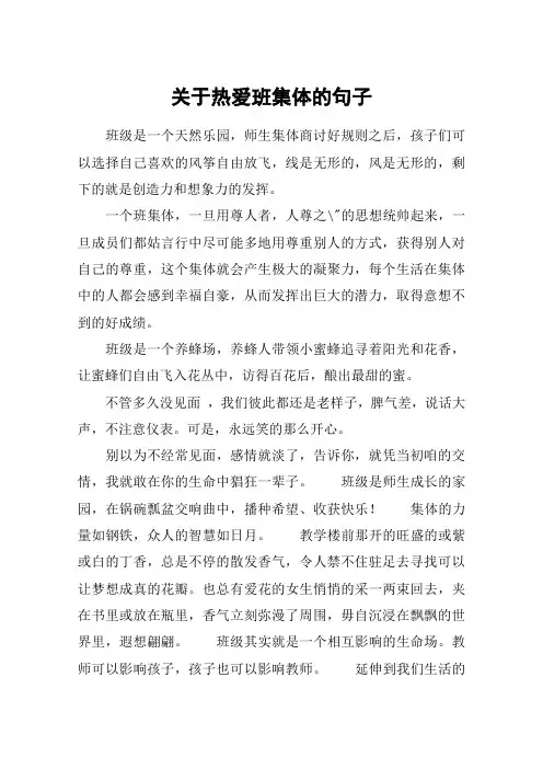 关于热爱班集体的句子_1