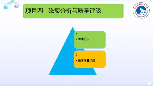 项目四   磁痕分析与质量评级