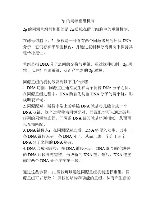 2μ的同源重组机制