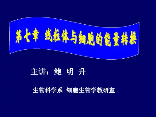 第七章  线粒体