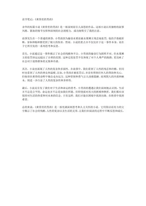 读书笔记：《黄昏里的男孩》