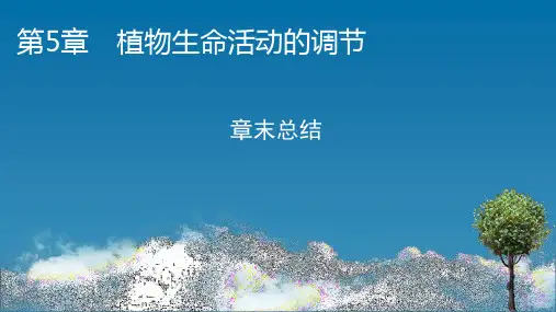 高中生物新人教版选择性必修1第5章植物生命活动的调节章末总结课件(31张)