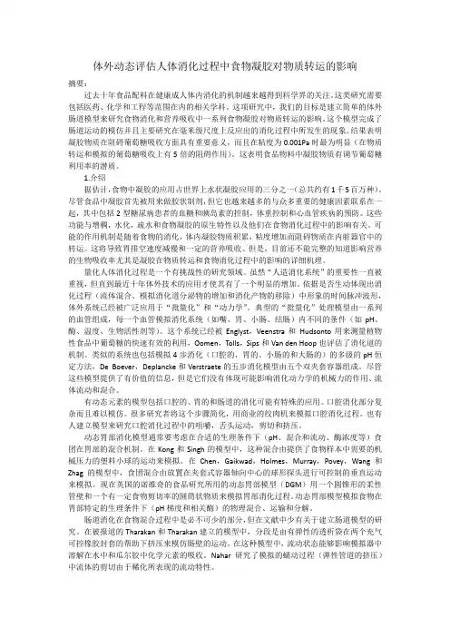 体外动态评估人体消化过程中食物凝胶对物质转运的影响
