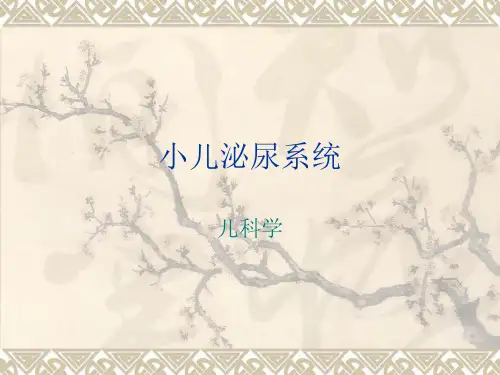 小儿泌尿系统PPT课件