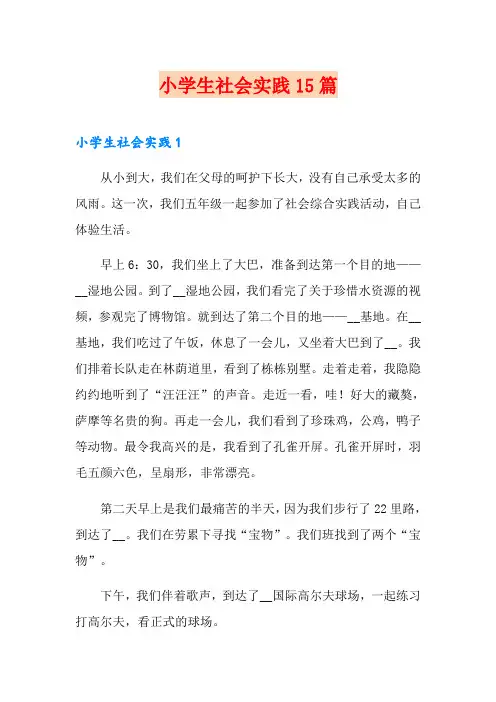 小学生社会实践15篇