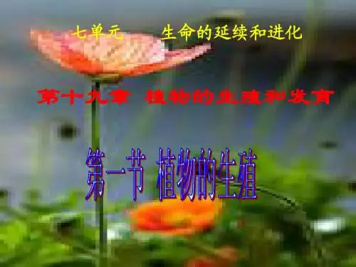 植物的生殖hr