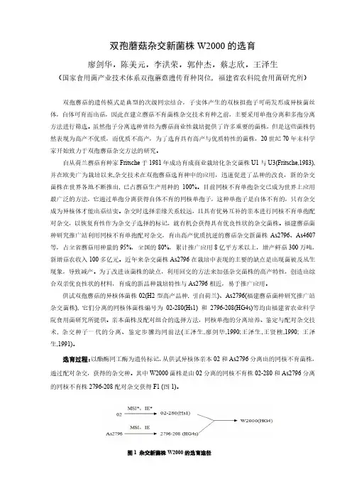 双孢蘑菇杂交新菌株W2000的选育