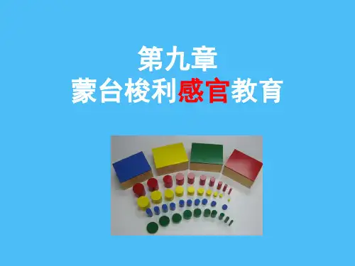 蒙台梭利感官教育 PPT课件