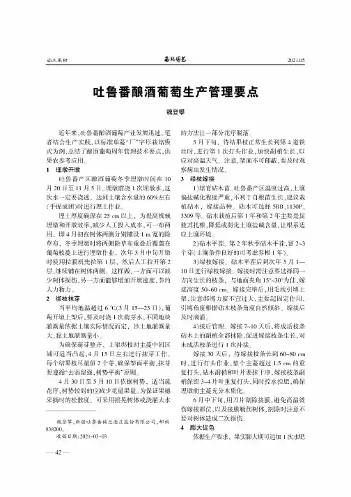 吐鲁番酿酒葡萄生产管理要点