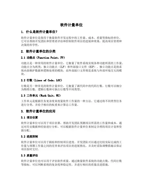 软件计量单位
