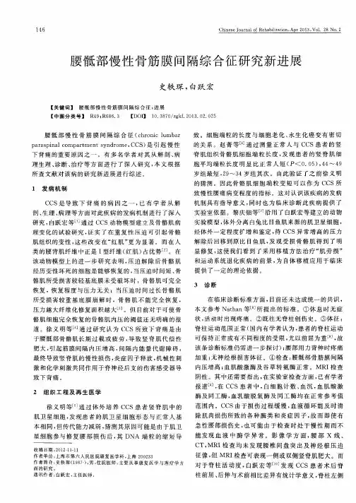 腰骶部慢性骨筋膜间隔综合征研究新进展
