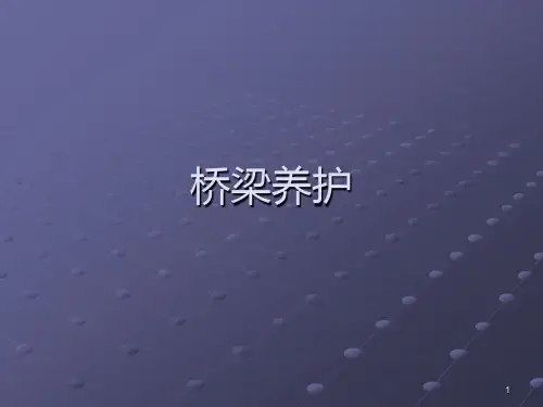 桥梁养护PPT课件