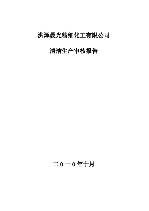 清洁生产审核报告