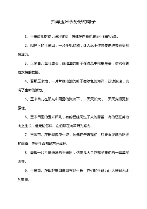 描写玉米长势好的句子