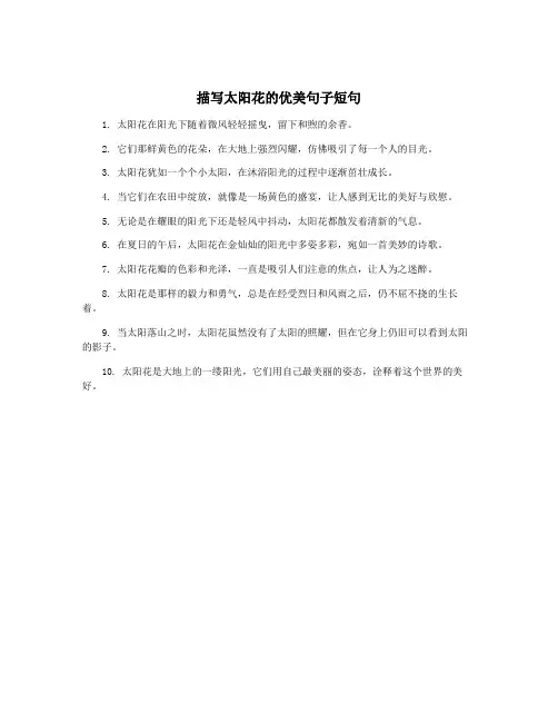 描写太阳花的优美句子短句