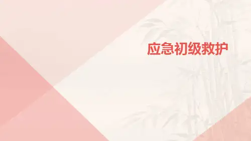 应急初级救护ppt