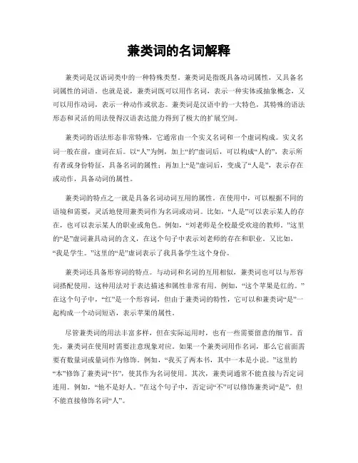 兼类词的名词解释