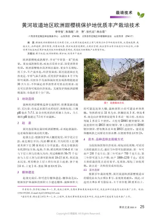 黄河故道地区欧洲甜樱桃保护地优质丰产栽培技术