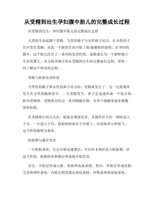 从受精到出生孕妇腹中胎儿的完整成长过程