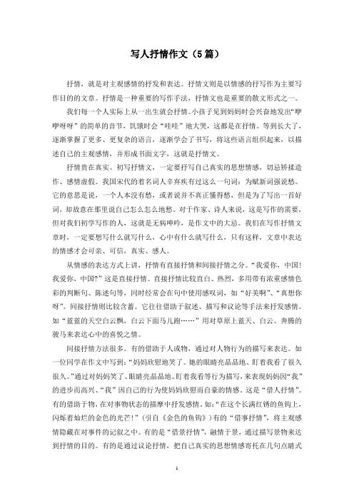 写人抒情作文(5篇)