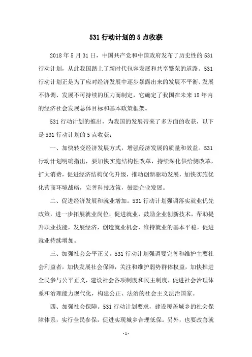 531行动计划的5点收获