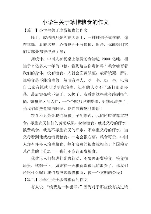 小学生关于珍惜粮食的作文