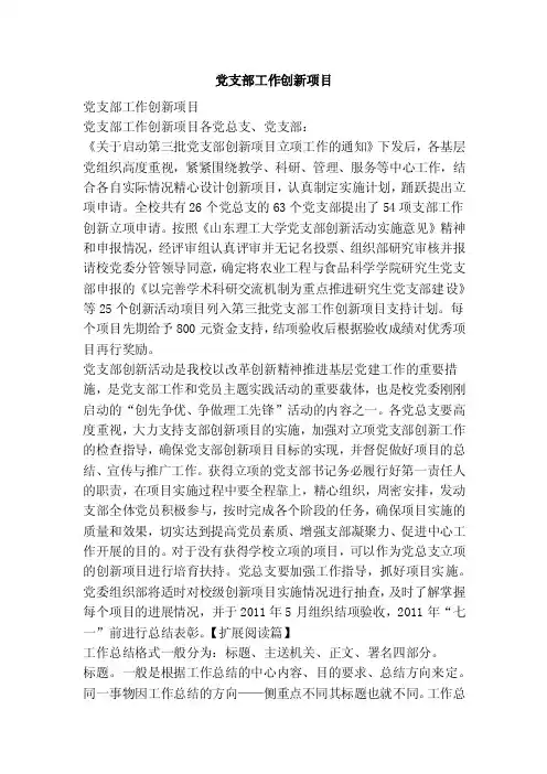 党支部工作创新项目