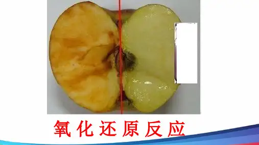 高中化学《氧化还原反应》精品公开课PPT课件