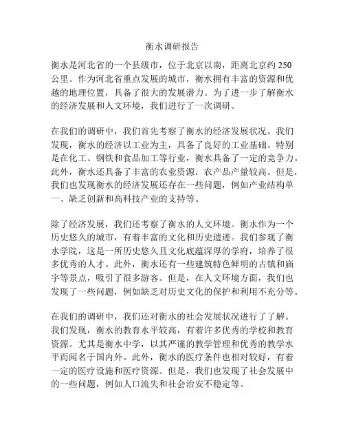 衡水调研报告