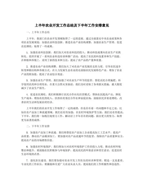 上半年农业开发工作总结及下半年工作安排意见