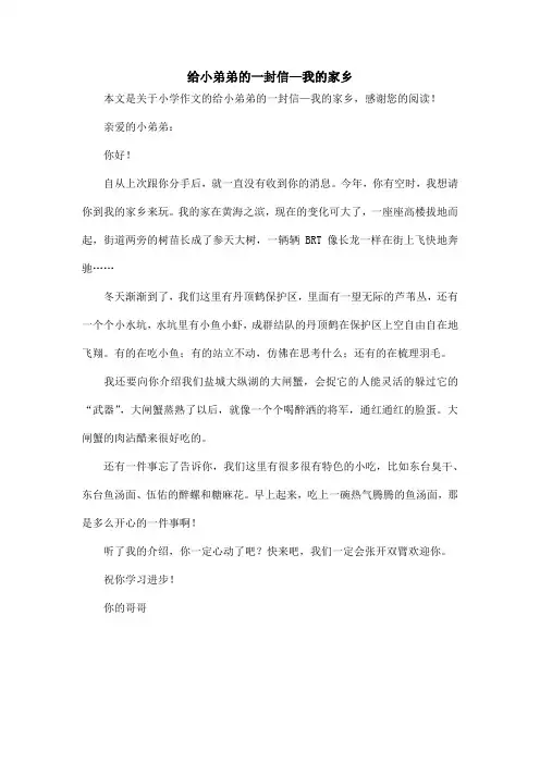 给小弟弟的一封信—我的家乡_小学作文