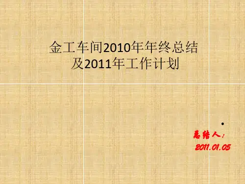 2010总结与2011计划