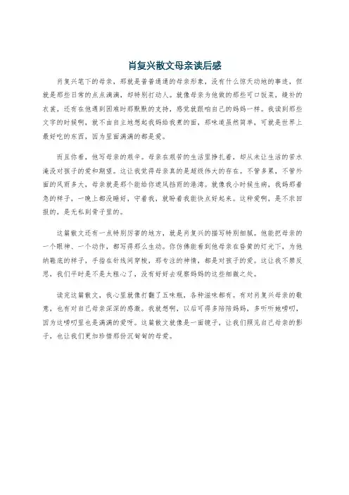 肖复兴散文母亲读后感