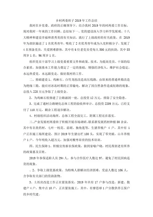 最新-乡村两委班子2019年工作总结 精品