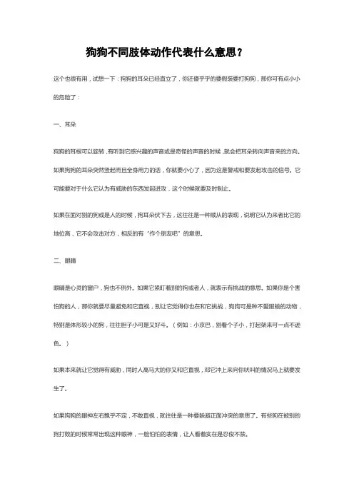 狗狗不同肢体动作代表什么意思