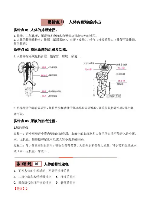 易错点11 人体内废物的排出-备战2022年中考生物考试易错题(解析版)