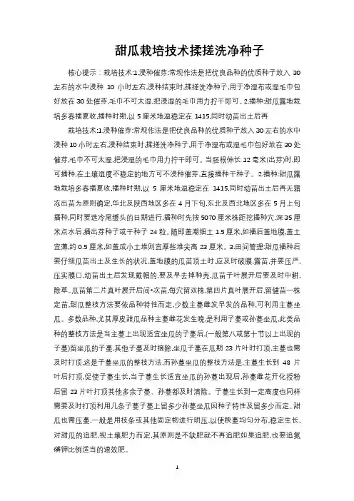 甜瓜栽培技术揉搓洗净种子
