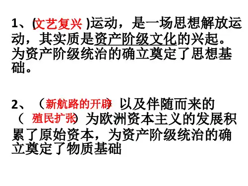 主题6_欧美资产阶级革命(PPT49页).pptx
