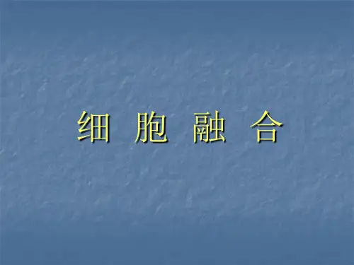 细胞融合实验原理