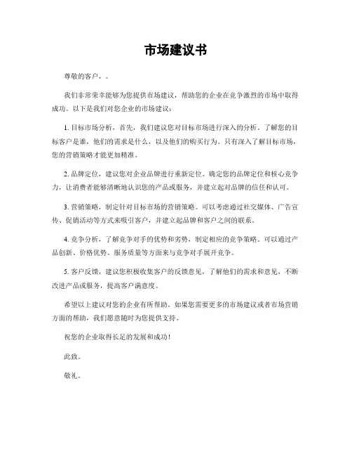 市场建议书