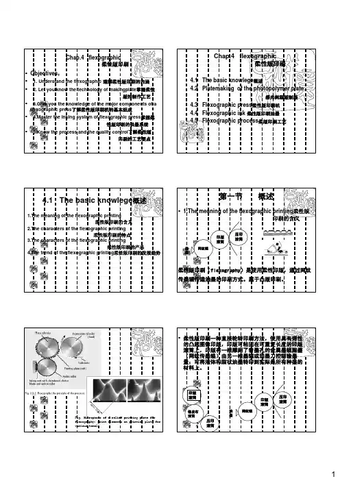 第4章柔性版印刷10(精)
