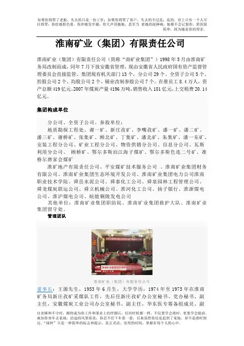 【精品】淮南矿业局资料
