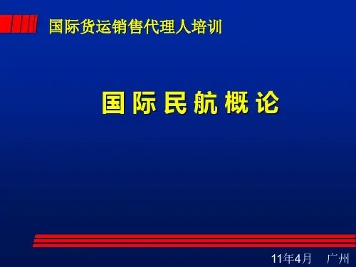 民航运输概论(国际)(PPT116页)