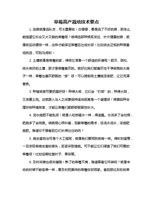 草莓高产栽培技术要点